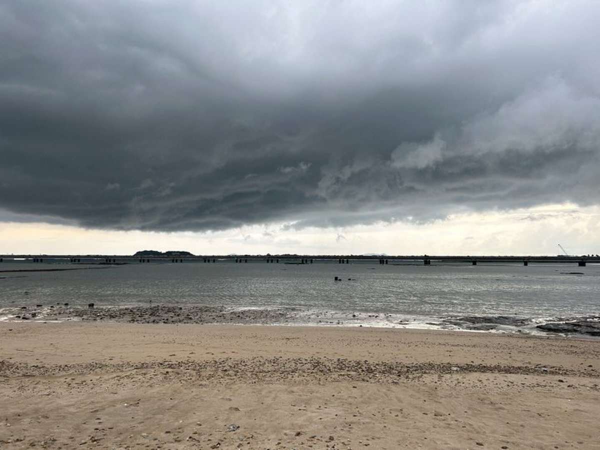 Join us for our Shorts 2 Programme tonight at 6:30 pm to watch a selection of Manitoban, Canadian &amp; International works. 

Film stills from: Portal, Paddling Bobette, Skygazers, Recuerdo (I remember). 

#UWPGFF24