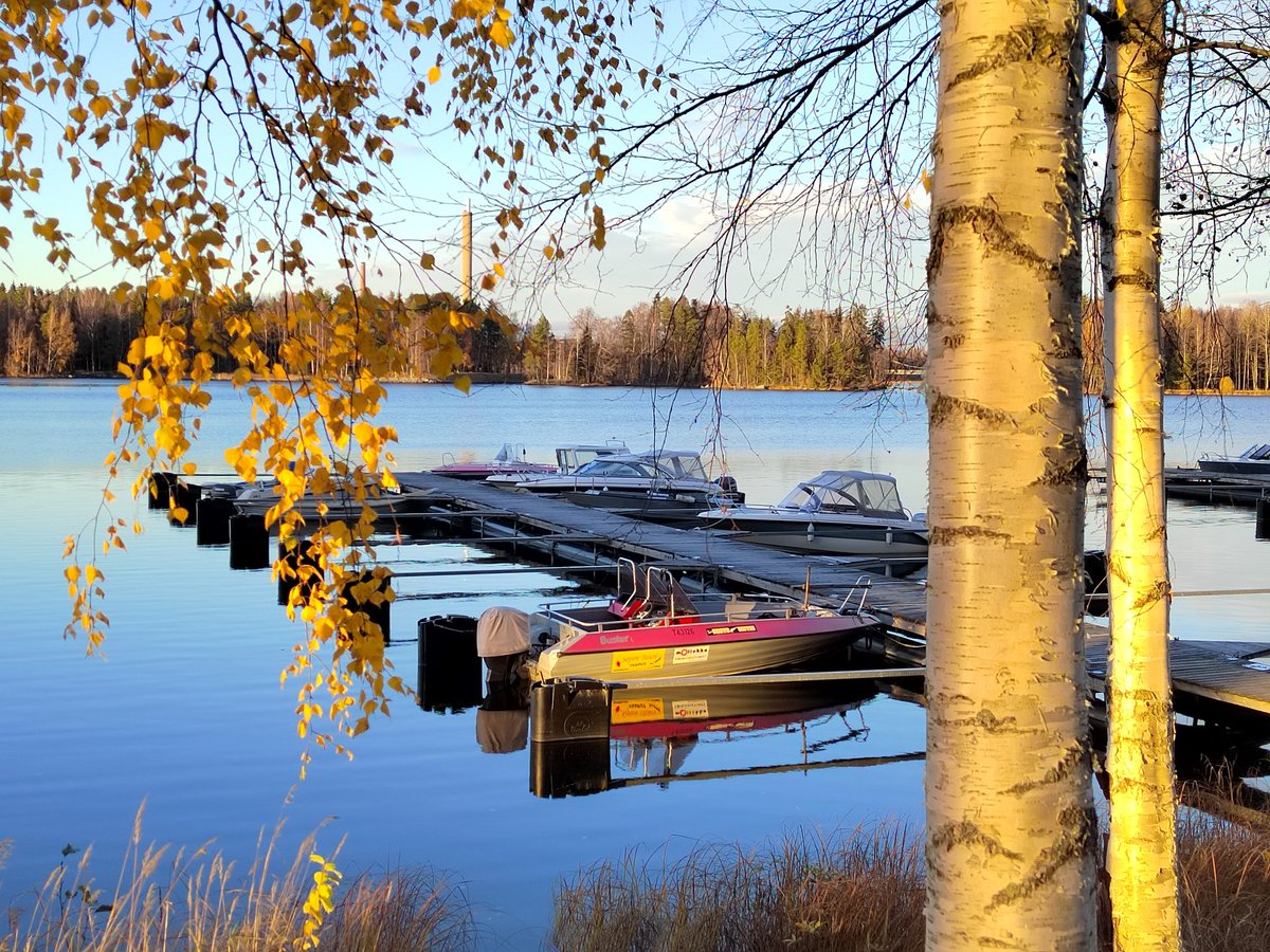 RitvaSavolaine1's tweet photo. Kaunis päivä oli, ja vielä iltakin! #veneranta #kaunistasyksyä #boatdock #mallasvesi #autumn2024 https://t.co/WNVXTezUci