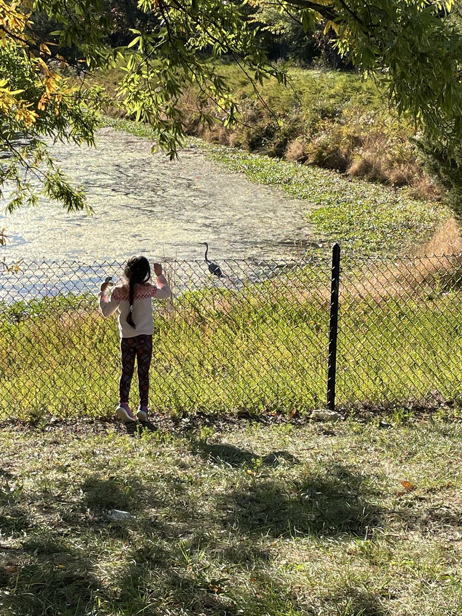 “bird…pretty bird” #babybeartryon