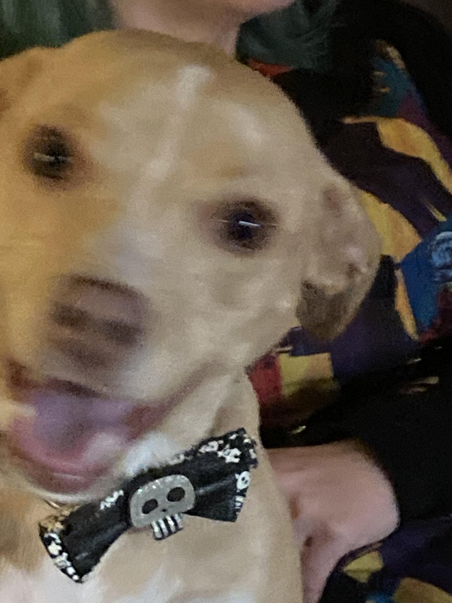 There's one week left to submit your work for volume four! Fran demands it!