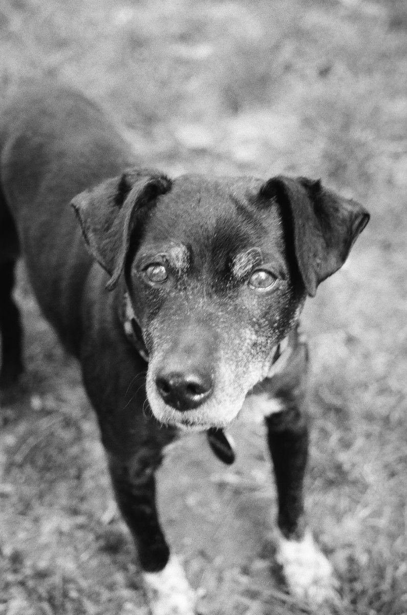 L1413 – Prof d’info – Leucémique Pfizer💉⁷ – 🇫🇷 tweet media