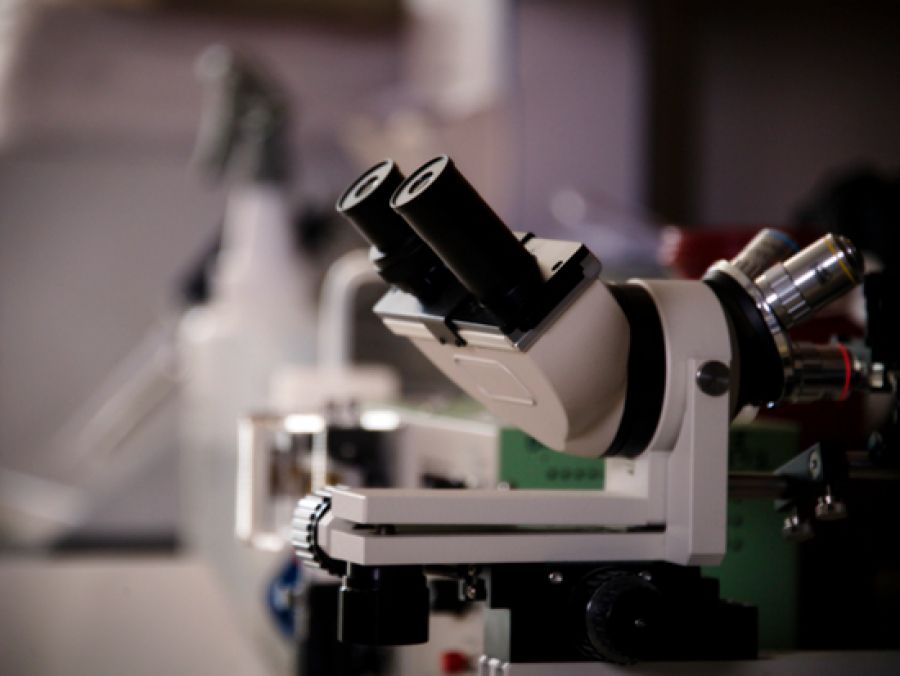 UAB Heersink School of Medicine (@uabheersink) on Twitter photo A Heersink research team led by <a href="/UABPathology/">UAB Pathology</a> Professor Upender Manne, Ph.D., has discovered a promising combination therapy for metastatic colorectal cancer. Read more by visiting the link below.
buff.ly/3UoikVs A Heersink research team led by <a href="/UABPathology/">UAB Pathology</a> Professor Upender Manne, Ph.D., has discovered a promising combination therapy for metastatic colorectal cancer. Read more by visiting the link below.
buff.ly/3UoikVs