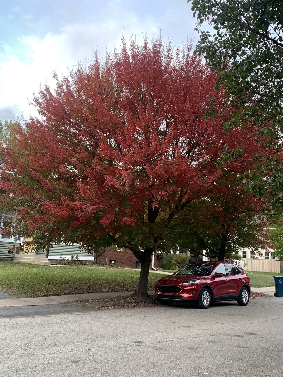 ProfessorMo (Monique Harris) tweet media