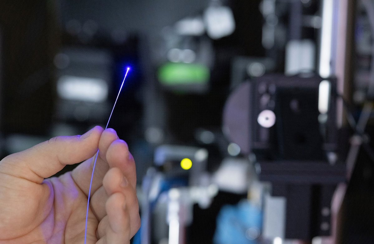 HereAtUNC's tweet image. “The knowledge from this project could lead to new treatment approaches down the road for improving stroke recovery.”
Neuroscience research led by @UNC_SOM faculty @AdamHantman and @ShihYYI, along with @blamlab John W. Krakauer at @HopkinsMedicine, has the potential to improve…