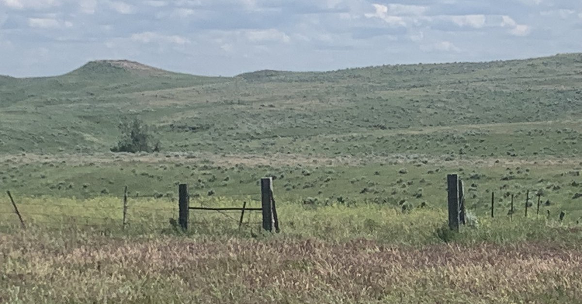 exercisebarbie's tweet photo. All the beauty, peace and tranquility you could ask for. Powder River County, Broadus Montana.  It's in my DNA https://t.co/dIiycDoEeF