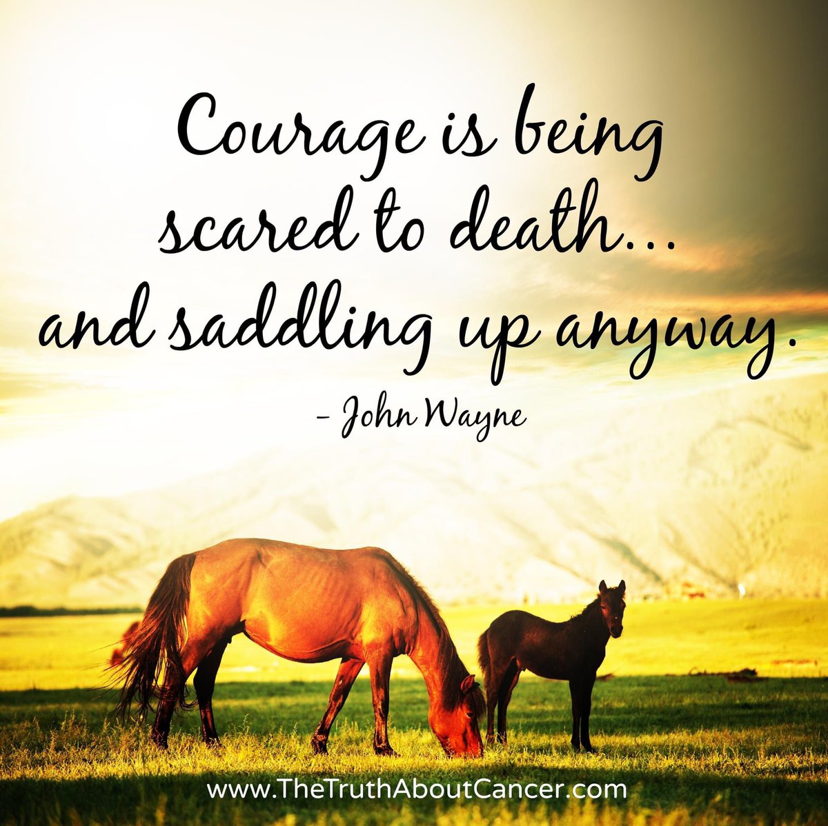 TowandaToU's tweet image. 