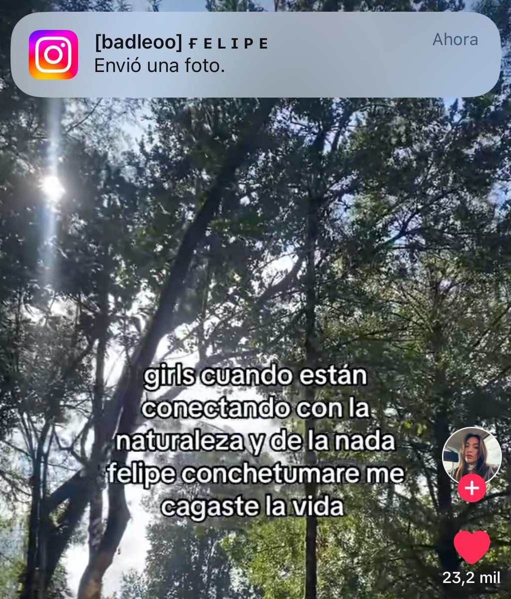 selladito's tweet photo. fuck felipes https://t.co/qGep6G5llp