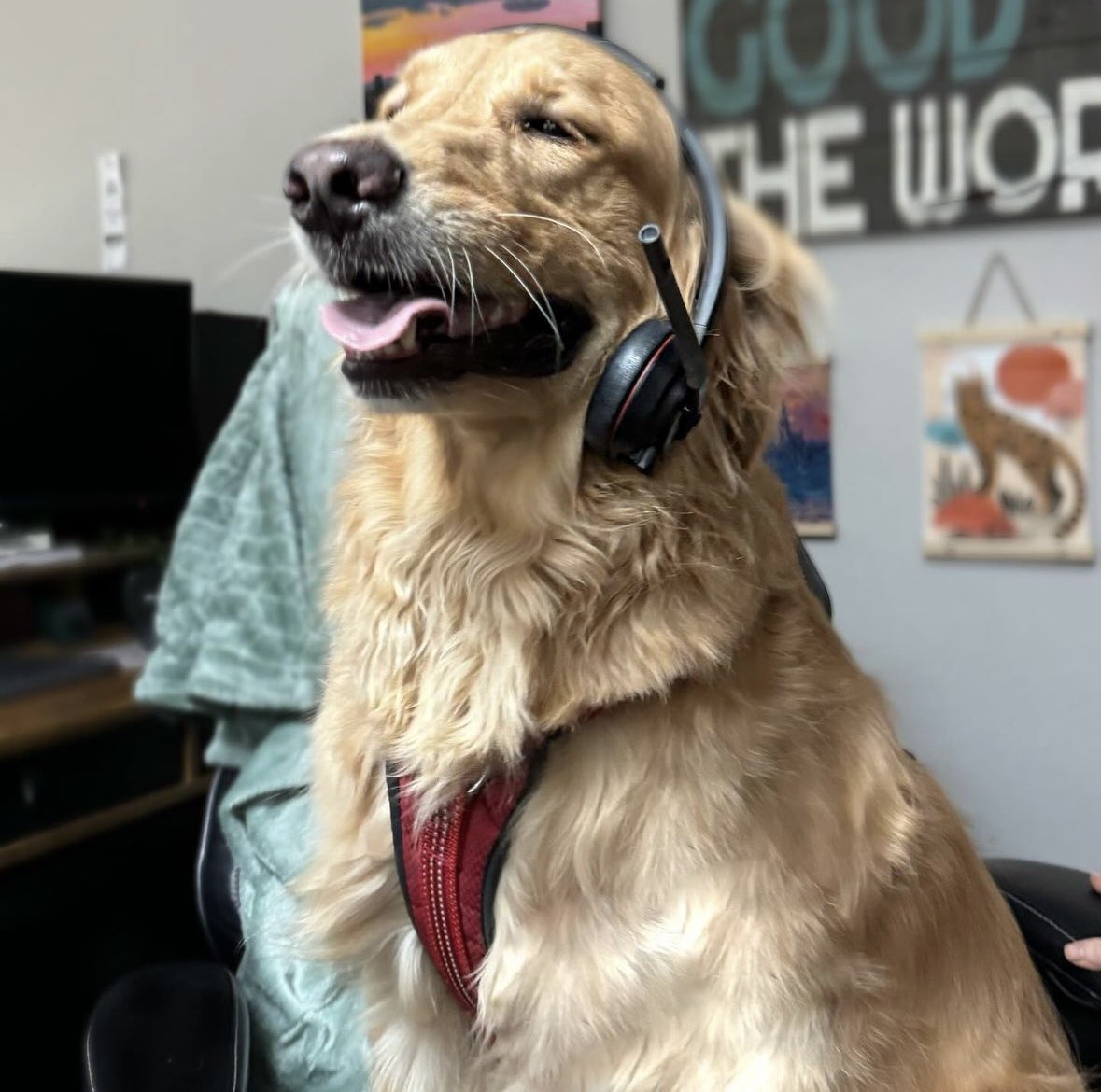 SDGDSAZ's tweet image. We just want you to know when you call in to make an appointment, this is who you’re speaking to. 🐶 #localaz #officedog #garagedoor