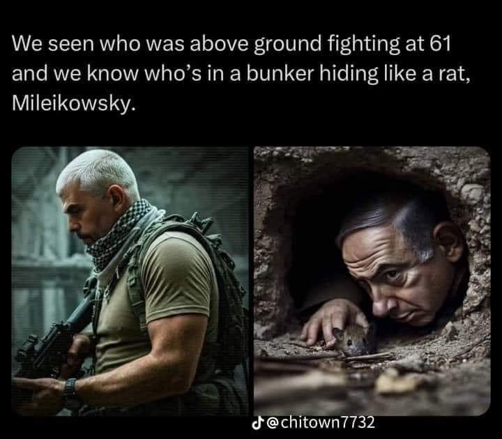 engahmedMSaleh's tweet image. 