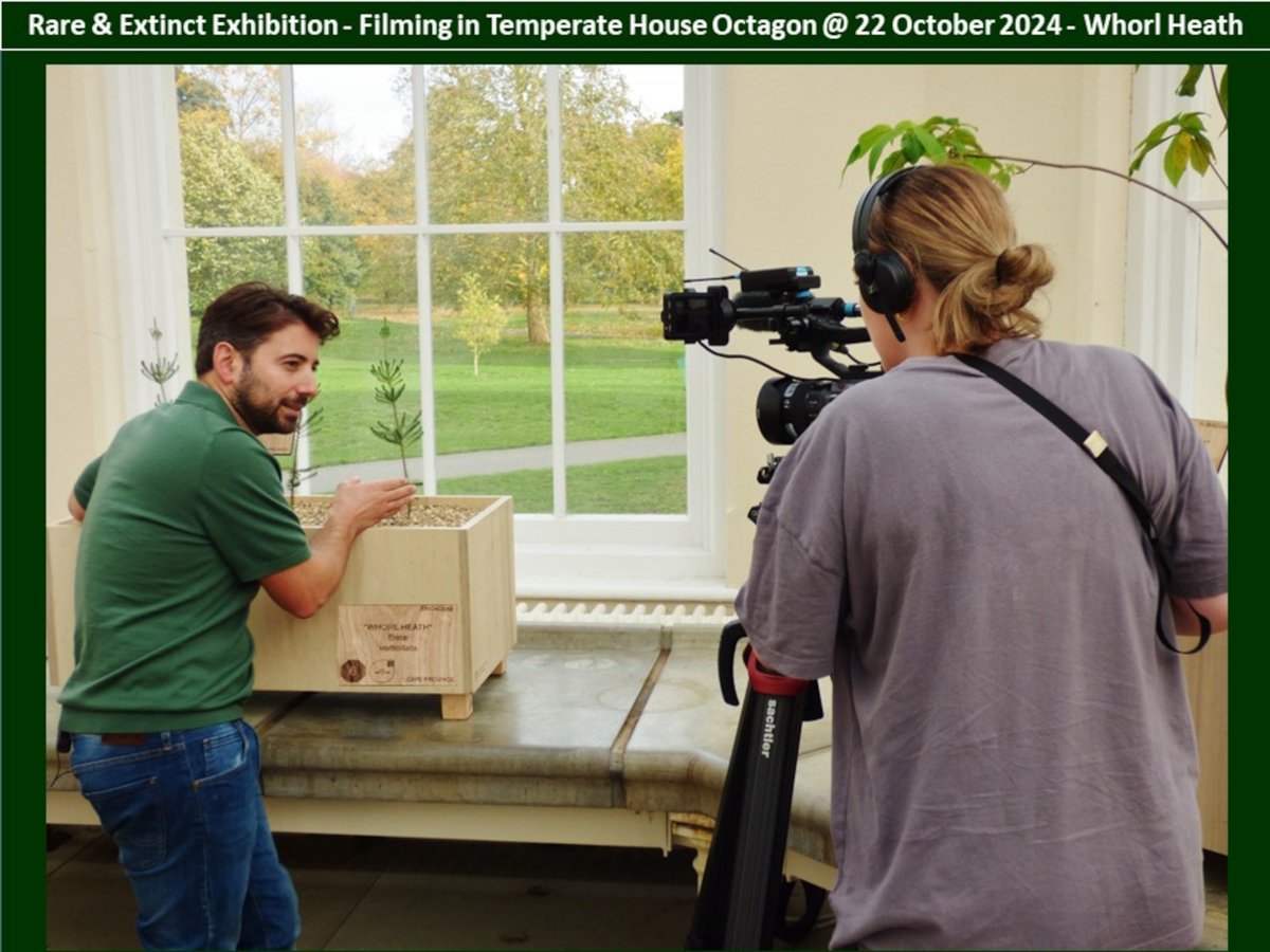 kamhongleung2's tweet photo. INVITATION :  Rare &amp; Extinct Exhibition in #TemperateHouse Octagons, #KewGardens 19 OCT to 17 NOV 2024 :  https://t.co/tv3IRXIYft

#OurFutureIsBotanic  #TemperateHouse #Plant #Plants #PlantLover #PlantLovers #Biodiversity #PlanetEarth #EcoSystem #EcoSystems #ClimateChange https://t.co/BbI8Jq4m12