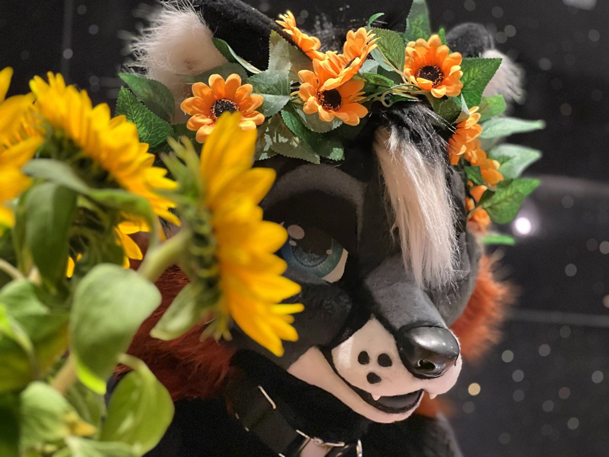 AWROOF! Between 1-10 how much would you rate my suit? 

Beautiful suit made by <a href="/Glitzy_Fox/">Glitzy Fox / GF Studios 🎀</a> 
Picture made by <a href="/LunariFox/">LunariFox</a>