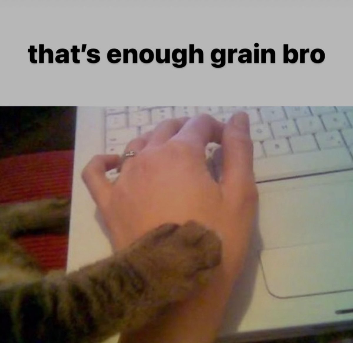 doron ˗ˏˋ ´ˎ˗ (@doronstudio) on Twitter photo 