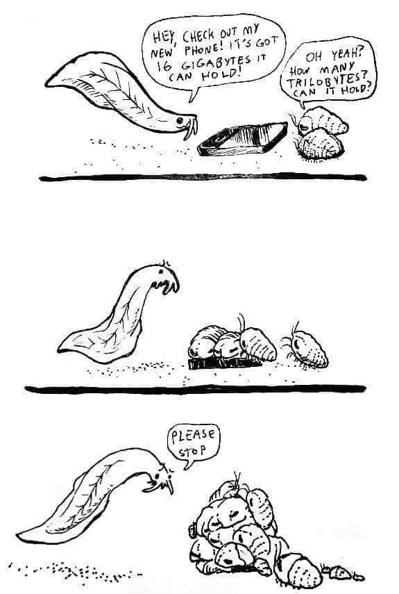 Georgia French 🐀 tweet media