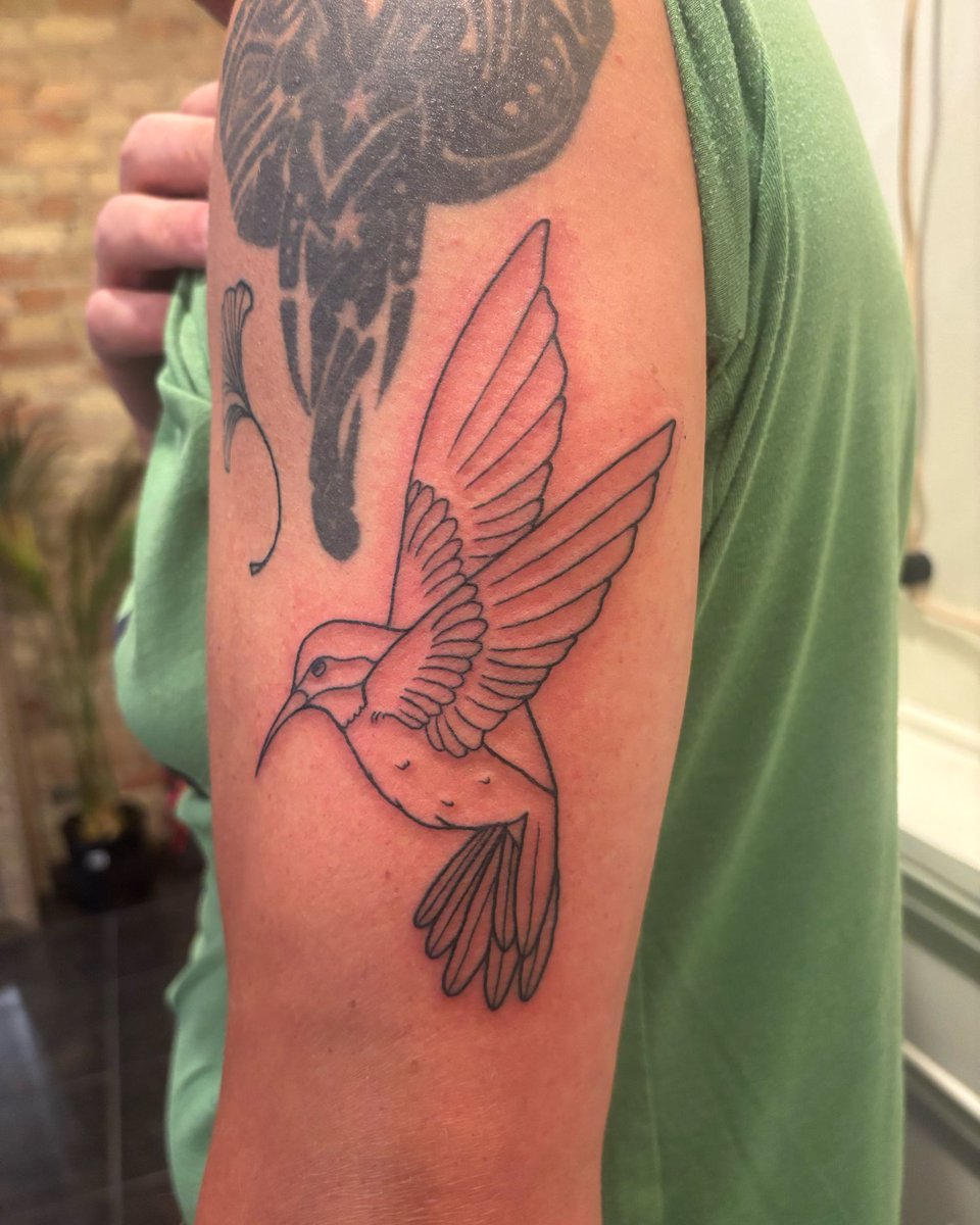 fleursoda's tweet photo. Here’s a hummingbird i did on my dad!!
thank you to everybody donating me skin on this learning journey ❤️

 Done at Hanger 18 Tattoos
⛓️ DM or link in bio to book!!

🪭 *legs only for now while i’m learning*
🪭 *limited to 4pm slots every day but tuesday and sunday https://t.co/vnxDMXNTKZ