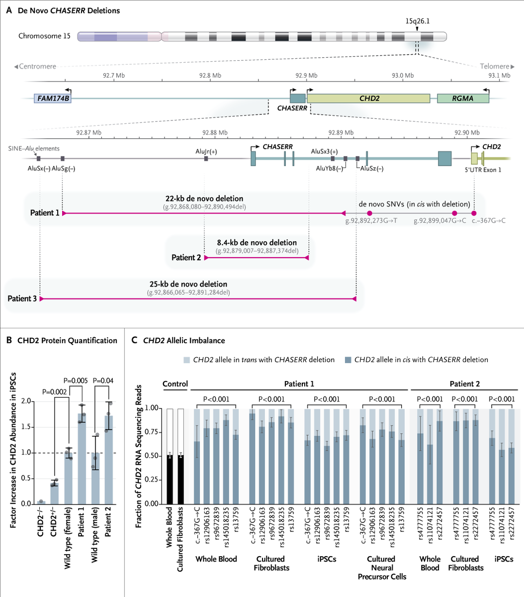 NEJM tweet media