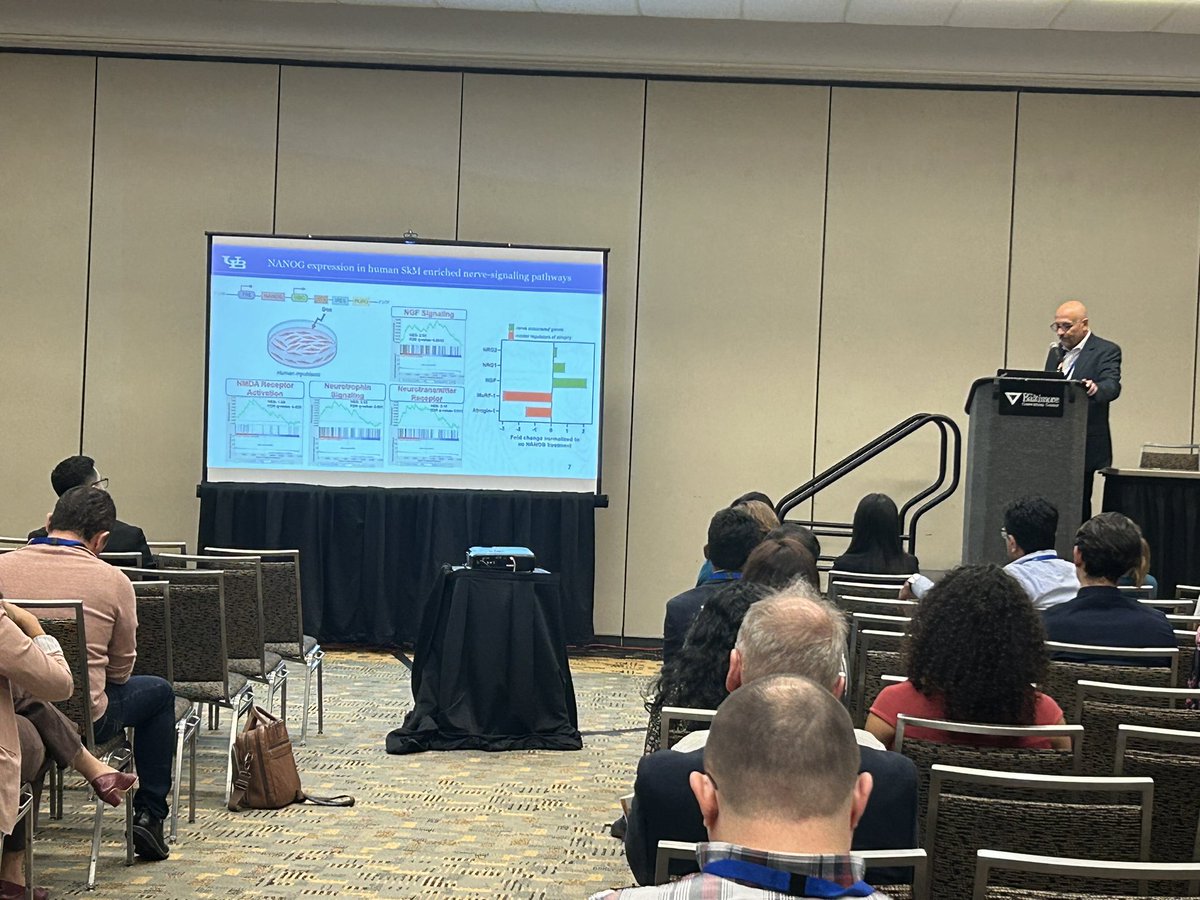 Great talk by <a href="/SteliosAndreadi/">Stelios Andreadis</a> on muscle regeneration by skeletal cell reprogramming using Nanog. #BMES2024 #stemcells <a href="/ubcbe11/">Chemical and Biological Engineering | UBuffalo</a> <a href="/PihuMehrotra/">Pihu Mehrotra</a>