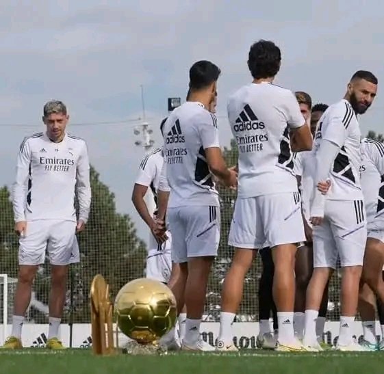 SpiritOfRM's tweet photo. When do you think Fede Valverde will win Ballon D’Or?
#BallonDor #fedevalverde #RealMadrid #SpiritofRM https://t.co/arCy0yG37z