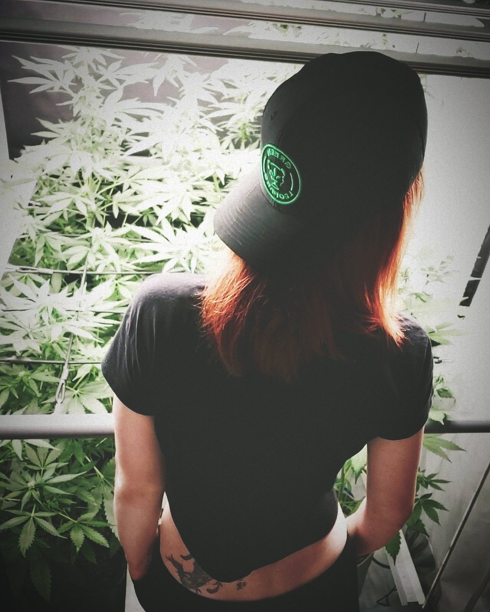 🐆🇨🇭🌿

#GreenLeopard #GrowYourOwn #WeedLife #StonerFam #LegalizeIt