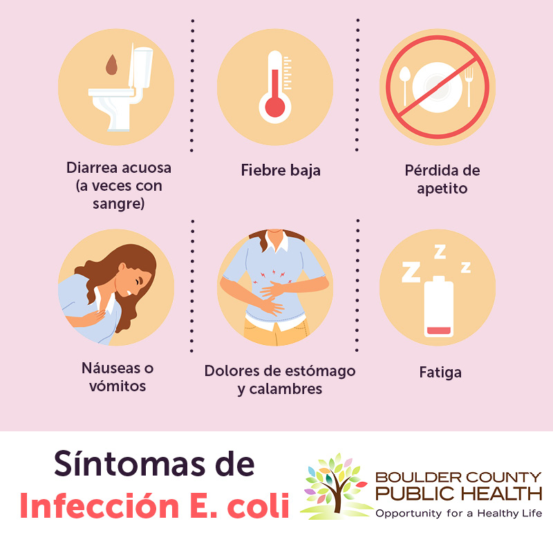 bouldercohealth's tweet photo. ¡Infórmate sobre los síntomas de E. coli! 
🚨 Conoce las señales:
💧 Diarrea acuosa o con sangre
🌡️ Fiebre baja
🍽️ Pérdida de apetito
🤢 Náuseas o vómitos
🥴 Dolor o calambres abdominales
😴 Fatiga

Si presentas estos síntomas,  busca atención médica.

#EcoliOutbreak https://t.co/hwuqSt1ZmF