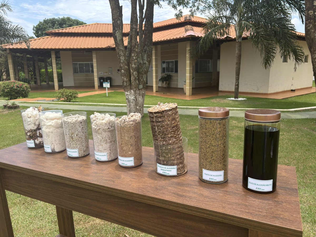 Cronk_Ag's tweet photo. Learning all things #Cotton #FSBrazil24 π§π· https://t.co/lnwR8KZOWG