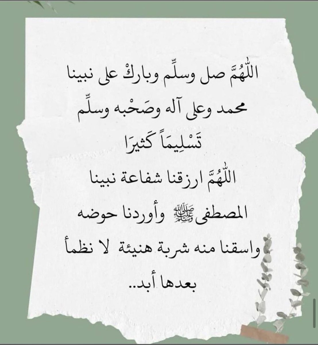 أم بندر tweet media