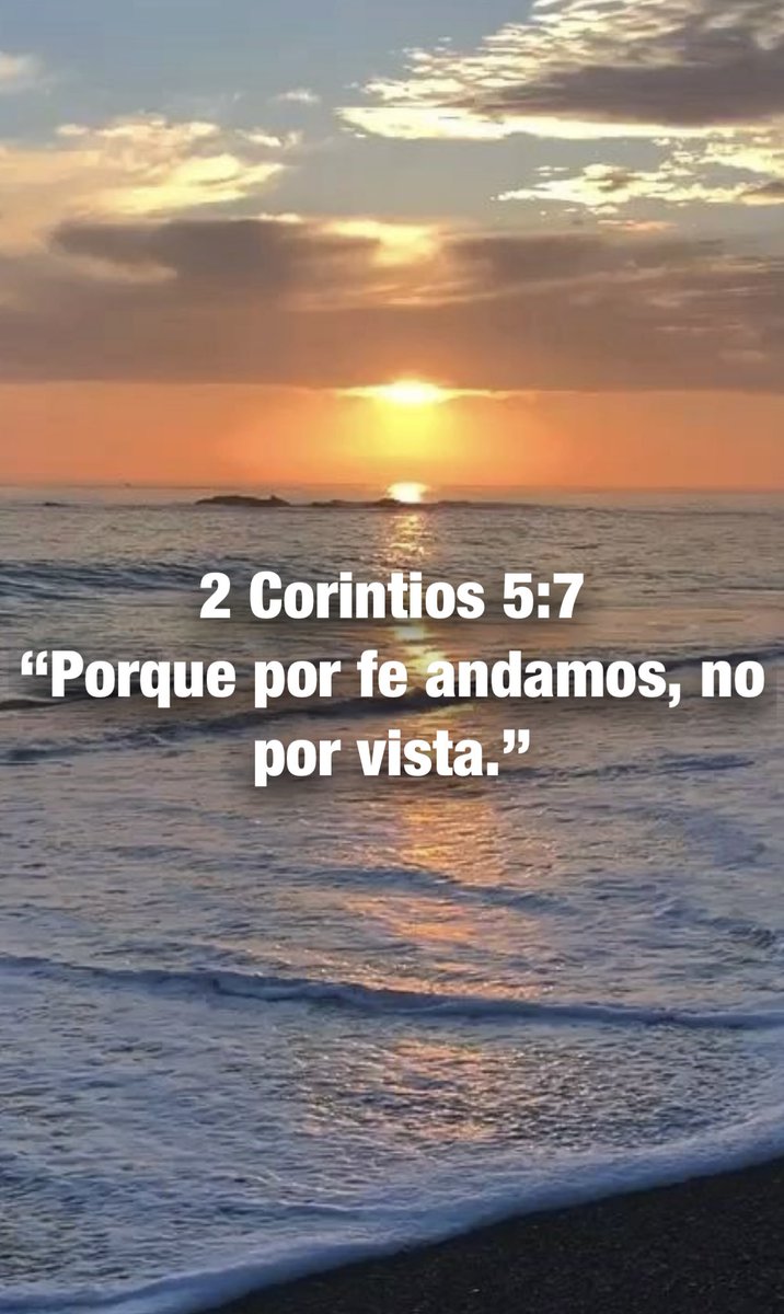 Carmenlop20's tweet photo. Romanos 1:17
“Porque en el evangelio la justicia de Dios se revela por fe y para fe, como está escrito: Mas el justo por la fe vivirá.” https://t.co/ZdQRNH7xa9