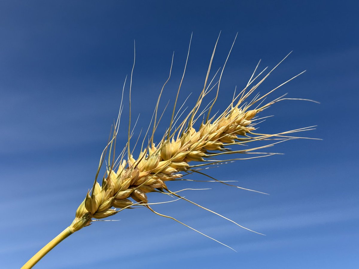 Nicole Baxter tweet media