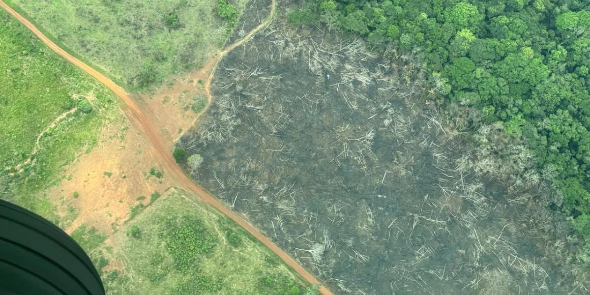 ELTIEMPO's tweet photo. 🔴 Defensoría advierte que ecosistemas estratégicos del país están en riesgo y que el Macizo Colombiano está perdiendo biodiversidad. ⬇️

https://t.co/bkfMBQ515C https://t.co/YodWXcNtMv