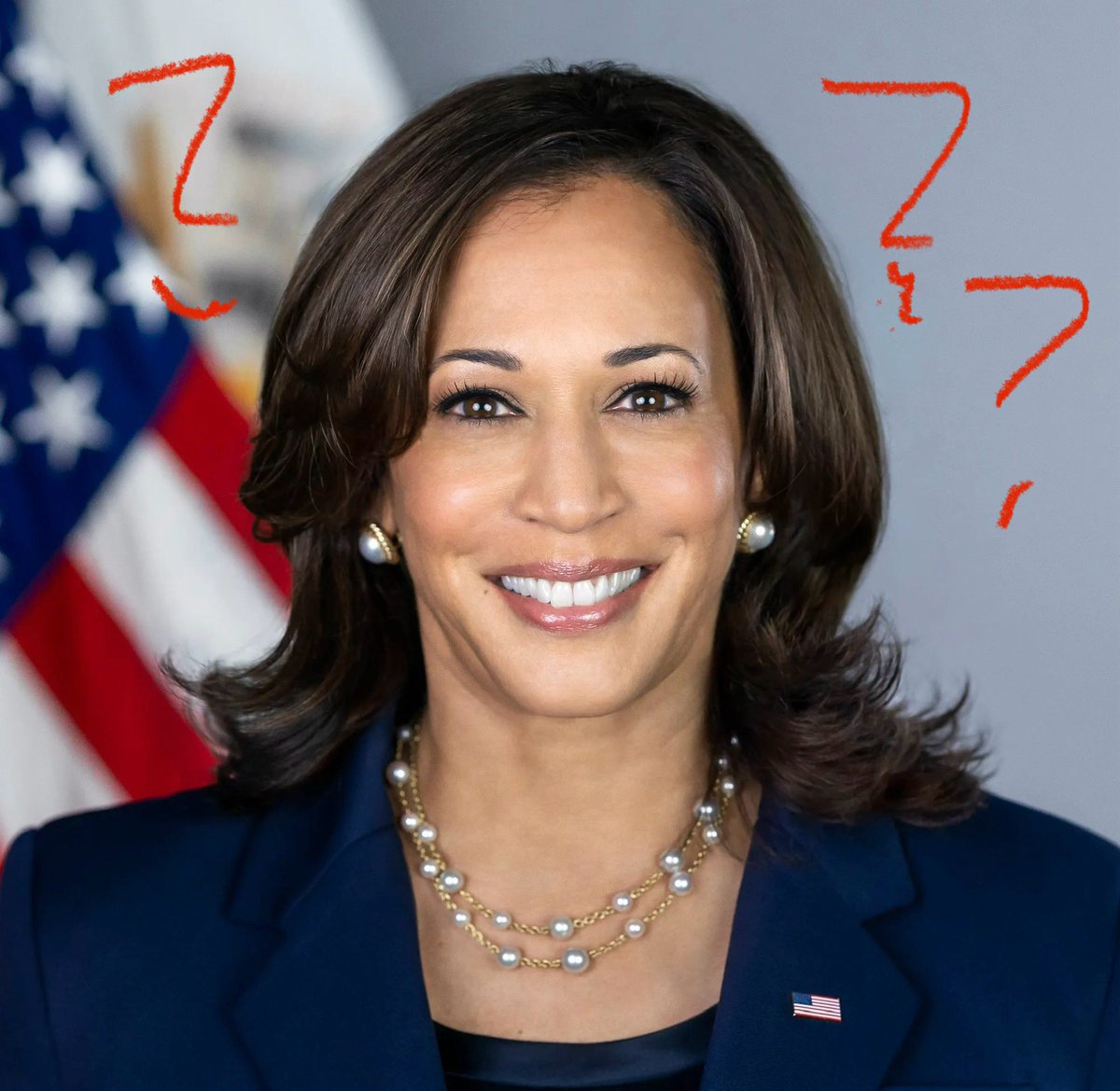 Who is this ??? What happened to President Biden ?!?!!