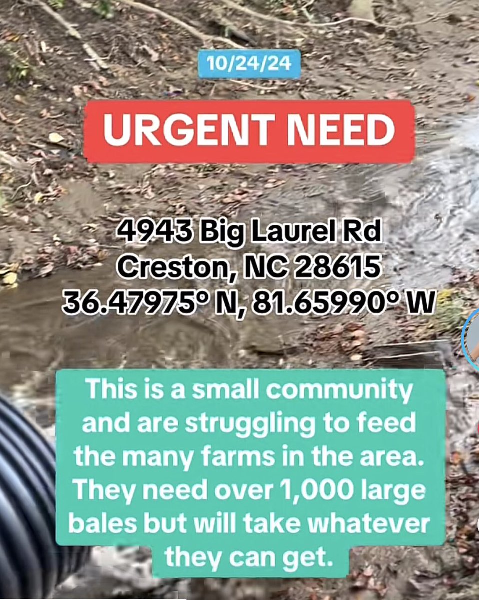 GardensR4Health's tweet image. Urgent Need for Farm Animals in 
Creston, NC. The situation is desperate. 

They flagged the need today. 

I just feel sick. 

WHERE is our TAX funded government? 
Why is Governor Roy Cooper letting thousands of farm animals STARVE? 
Where is federal aid? 👇 @RoyCooperNC