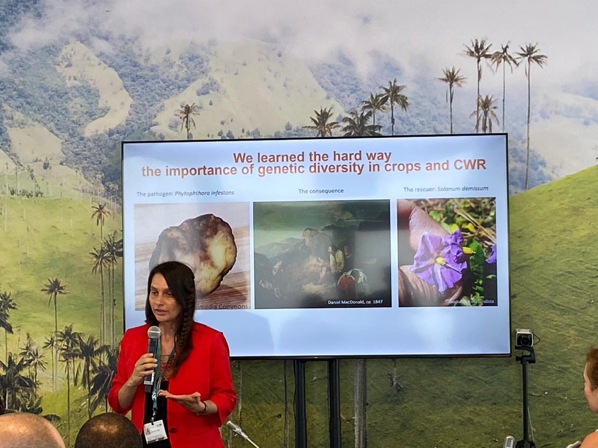 seanmhoban's tweet photo. Very busy and fantastic outreach by @CoalitionConGen @GEOBON_org @gbike_cost @SCBConGen @congenetics at COP16! https://t.co/jgxbgTGZZ0