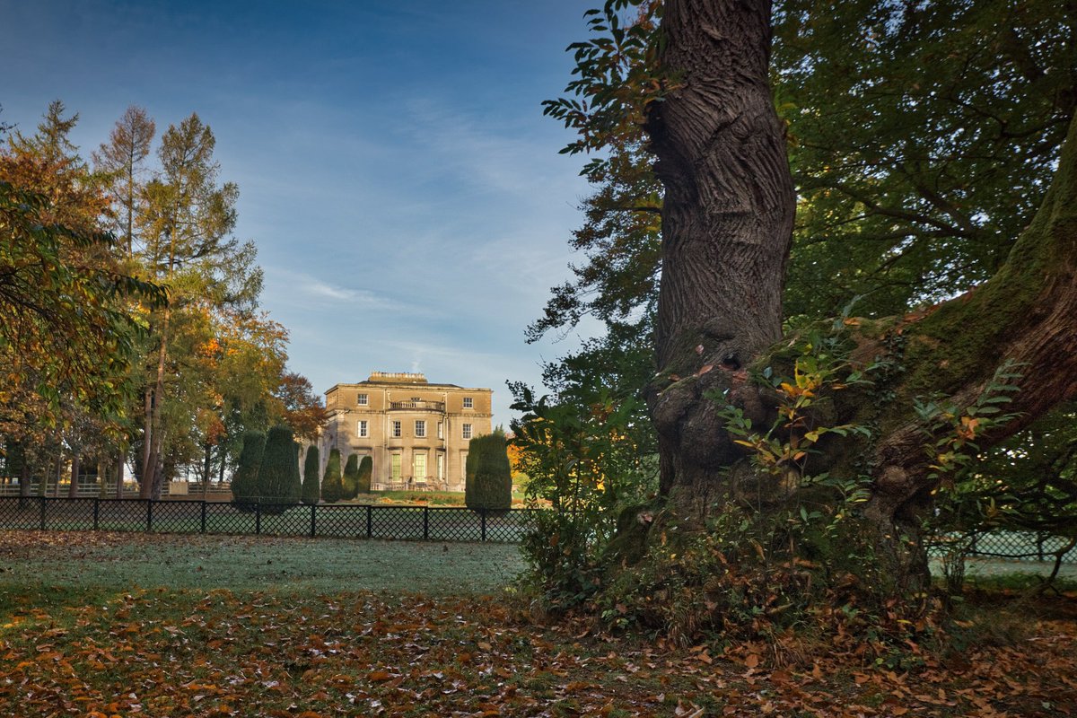 John J Dunne (@dunnejay54) on Twitter photo Emo Court Co Laois. Looks fantastic this time of year! <a href="/tourism_laois/">Laois Tourism</a> <a href="/LaoisToday/">Laois Today</a> <a href="/LaoisLoving/">LovingLaois</a> <a href="/LaoisPeople1/">Laois People</a> Emo Court Co Laois. Looks fantastic this time of year! <a href="/tourism_laois/">Laois Tourism</a> <a href="/LaoisToday/">Laois Today</a> <a href="/LaoisLoving/">LovingLaois</a> <a href="/LaoisPeople1/">Laois People</a>