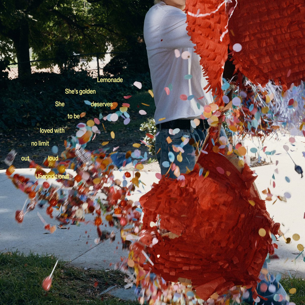 riss 🦭🪖🐈 tweet media