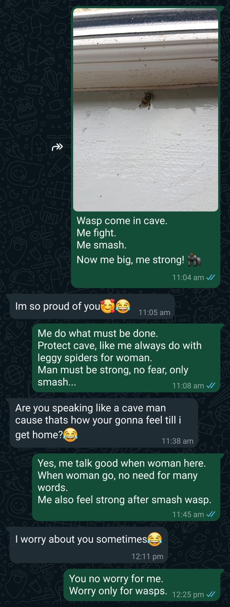 Me fight big stingy bug.