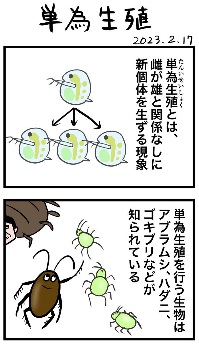 #令和の歴史教科書 
単為生殖(岸信千代さん山口2区) 