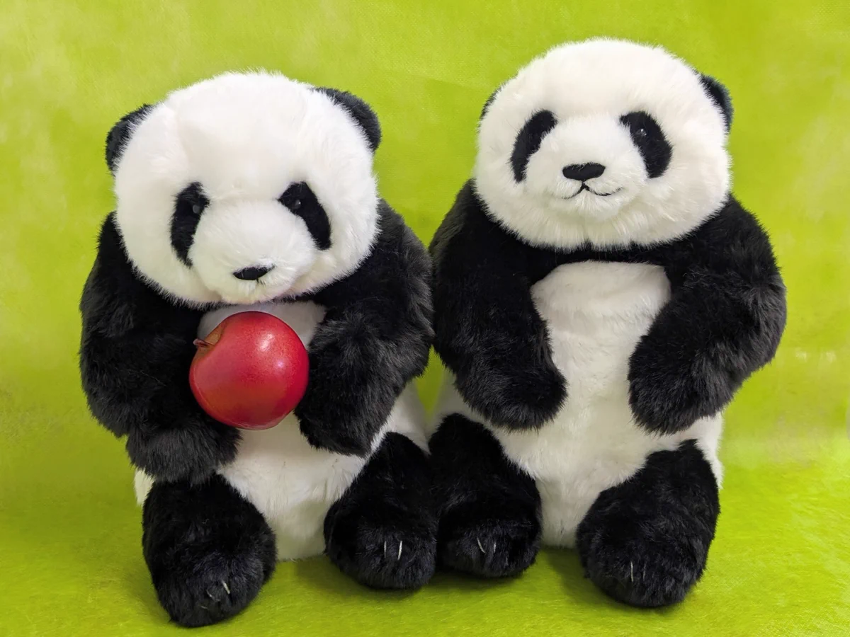 上野動物園［公式］ on X: 