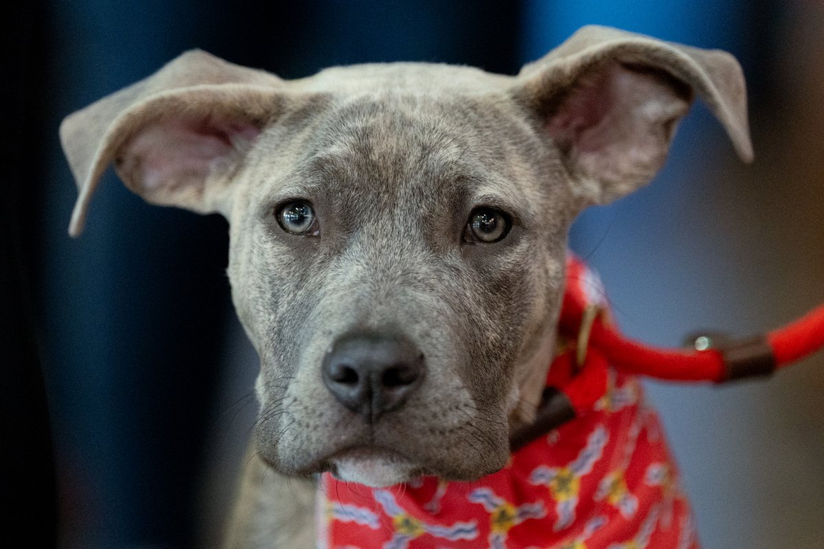 Brian Munoz tweet media