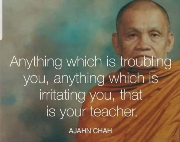 angelaraksha's tweet photo. #Ajahn Chah https://t.co/90gfWQLggT