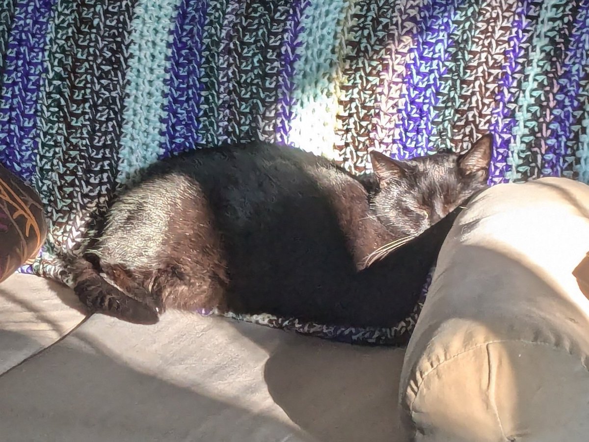 nextlevelweeb's tweet photo. My tummyache warrior. I'm so grateful nothing was seriously wrong, but I do maintain the right to complain about her $600 tummyache. https://t.co/Sz8whMfWBl