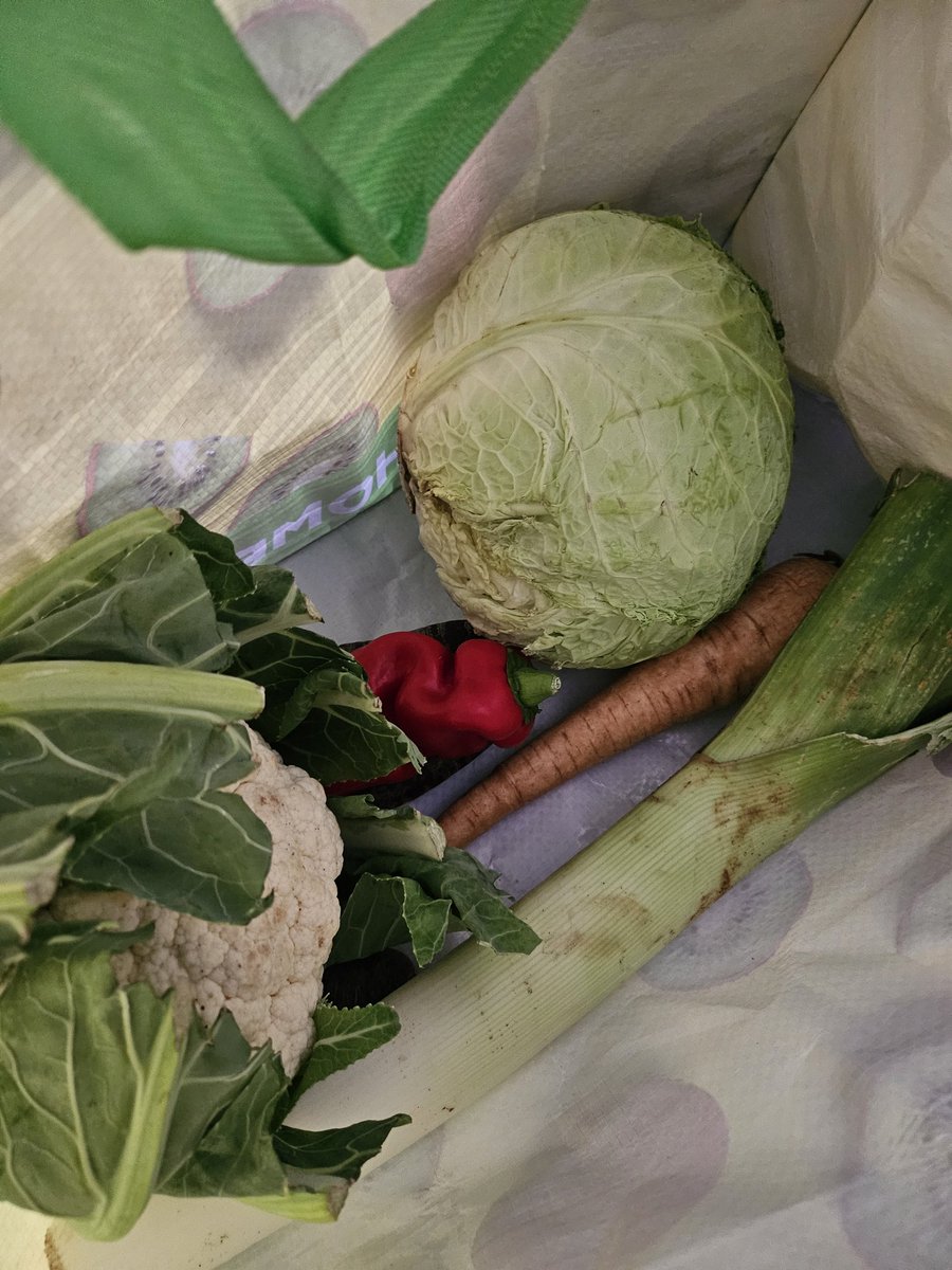 sparklyrev tweet media