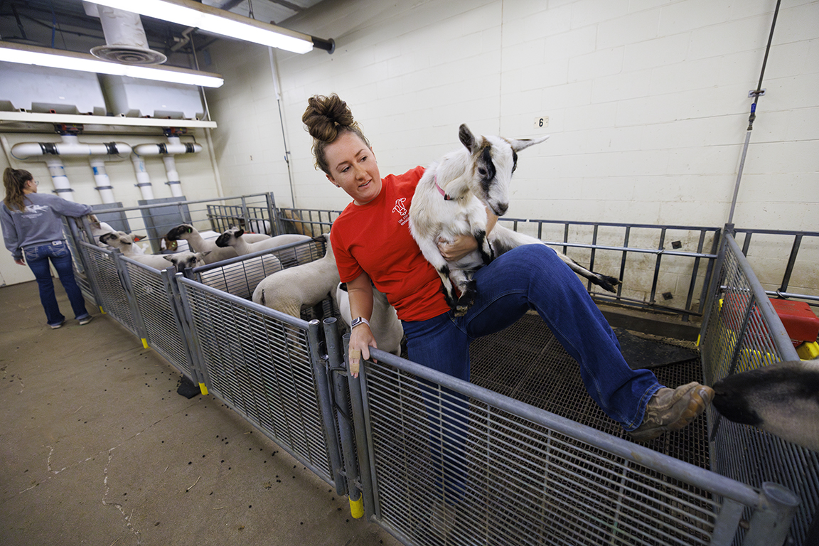 UNL_CASNR's tweet photo. A group of students live and work in the Animal Science Complex on East Campus, caring for the animals in the building. The immersive experience allows the students to grow in their knowledge of the field.
https://t.co/cRnUOQEdtV https://t.co/l9dHpBD5sd