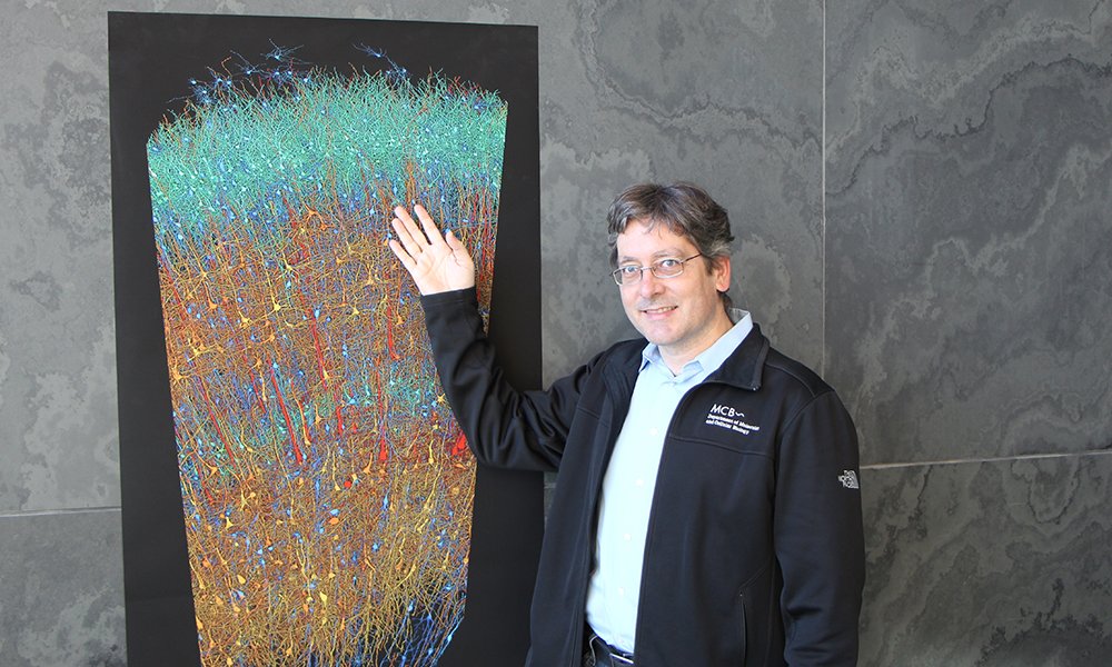MCB_Harvard (@mcb_harvard) on Twitter photo Mapping the Brain's Intricate Circuitry: A Spotlight on Daniel Berger <a href="/RachelleGaudet/">Rachelle Gaudet</a> <a href="/DulacLab/">Catherine Dulac</a> <a href="/VMurthyLab/">MurthyLab at Harvard</a> @naoshigeuchida <a href="/harvardbrainsci/">HarvardBrainScience</a> <a href="/Harvard/">Harvard University</a> <a href="/HarvardMagazine/">Harvard Magazine</a> mcb.harvard.edu/department/new… Mapping the Brain's Intricate Circuitry: A Spotlight on Daniel Berger <a href="/RachelleGaudet/">Rachelle Gaudet</a> <a href="/DulacLab/">Catherine Dulac</a> <a href="/VMurthyLab/">MurthyLab at Harvard</a> @naoshigeuchida <a href="/harvardbrainsci/">HarvardBrainScience</a> <a href="/Harvard/">Harvard University</a> <a href="/HarvardMagazine/">Harvard Magazine</a> mcb.harvard.edu/department/new…
