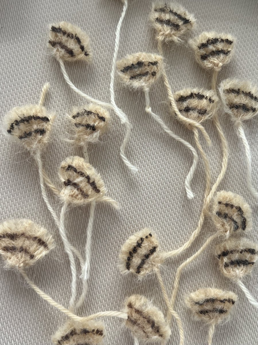 ไม่ได้ลงรูปนานแย้ว แวะมาหน่อยย🫣 น้องคนนี้คือดีเทลแน่นสุดที่เคยทำแล้วค่า ทำขนทีละช่อเลย✨🥹 💕