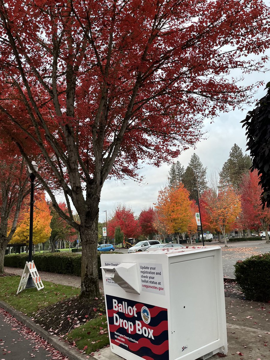 Another way to enjoy the beautiful #autumnleaves, come by Beaverton City Library to drop off your ballot and grab a book for the rainy weekend.