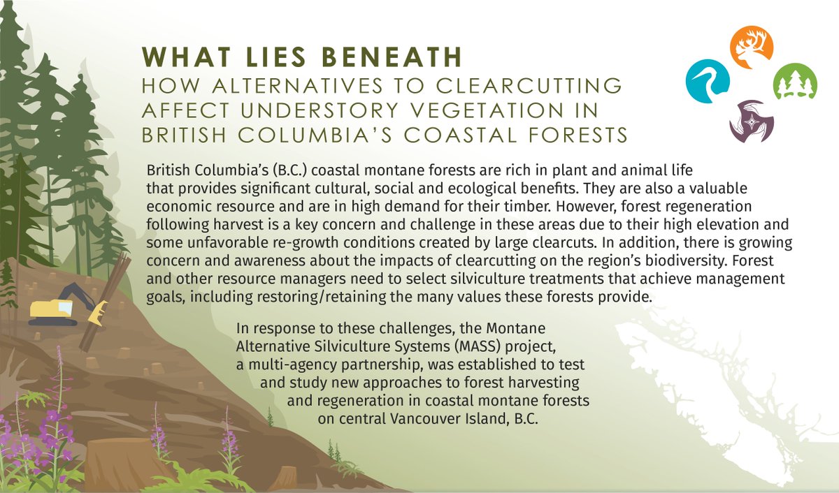 Fuse Consulting Ltd. tweet media