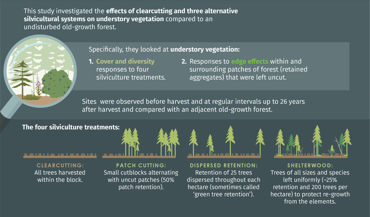 Fuse Consulting Ltd. tweet media