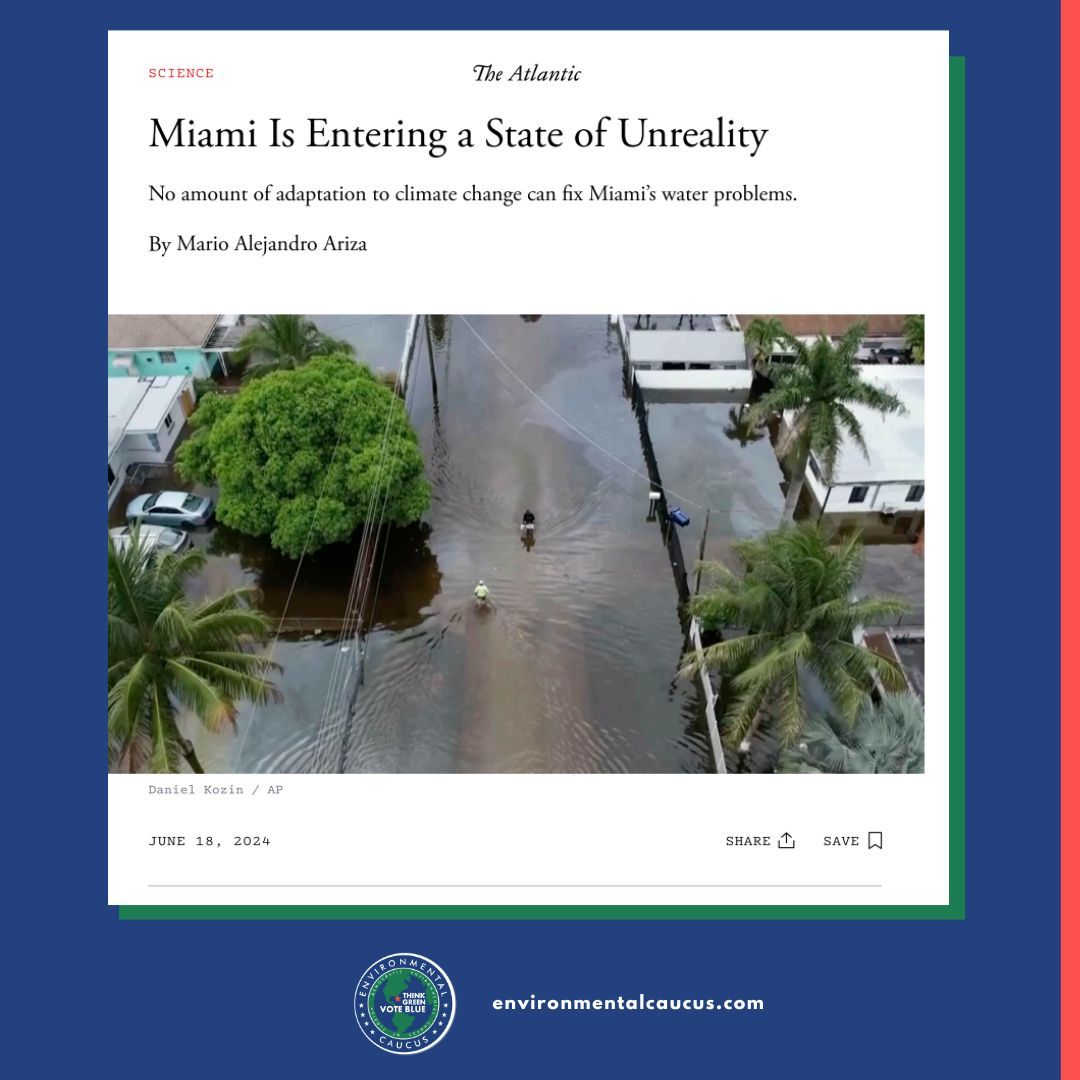 Democratic Environmental Caucus of Florida tweet media