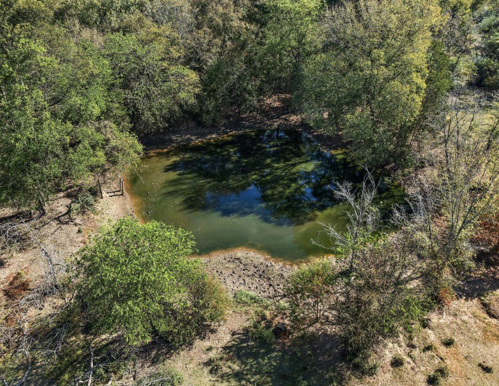 New listing📍- 4255 CR 2525, Alto, Tx - $750,000

2 bed / 2 bath / 1,600 Sq. Ft. / 64-acres

This 64-acre fenced property features a 2-bedroom, 2-bath home with an open-concept design, completely remolded in 2008. The house sits on a slab foundation and includes a 2-bay shop,