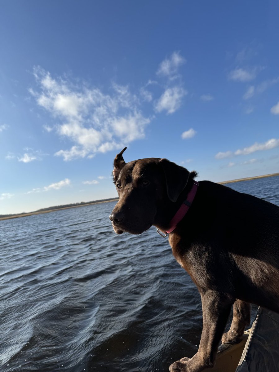 Ed (@mooneythepooney) on Twitter photo 