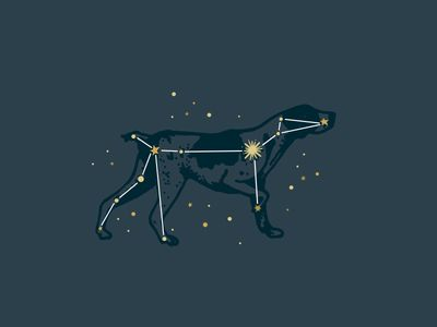 Do you have any placements near 7º Cancer? Then you are touched by Murzims, the Announcer.

Here are some marks of this star: